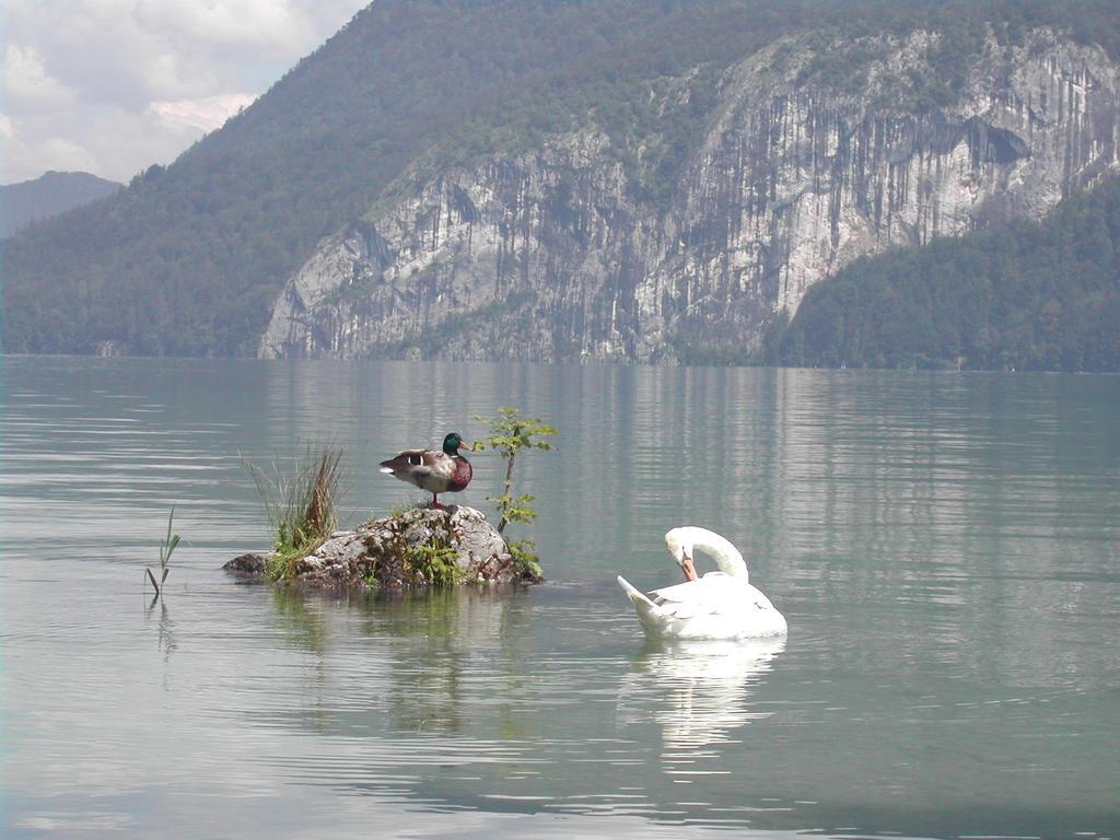 Leitner Am Wolfgangsee Aparthotel Sankt Gilgen